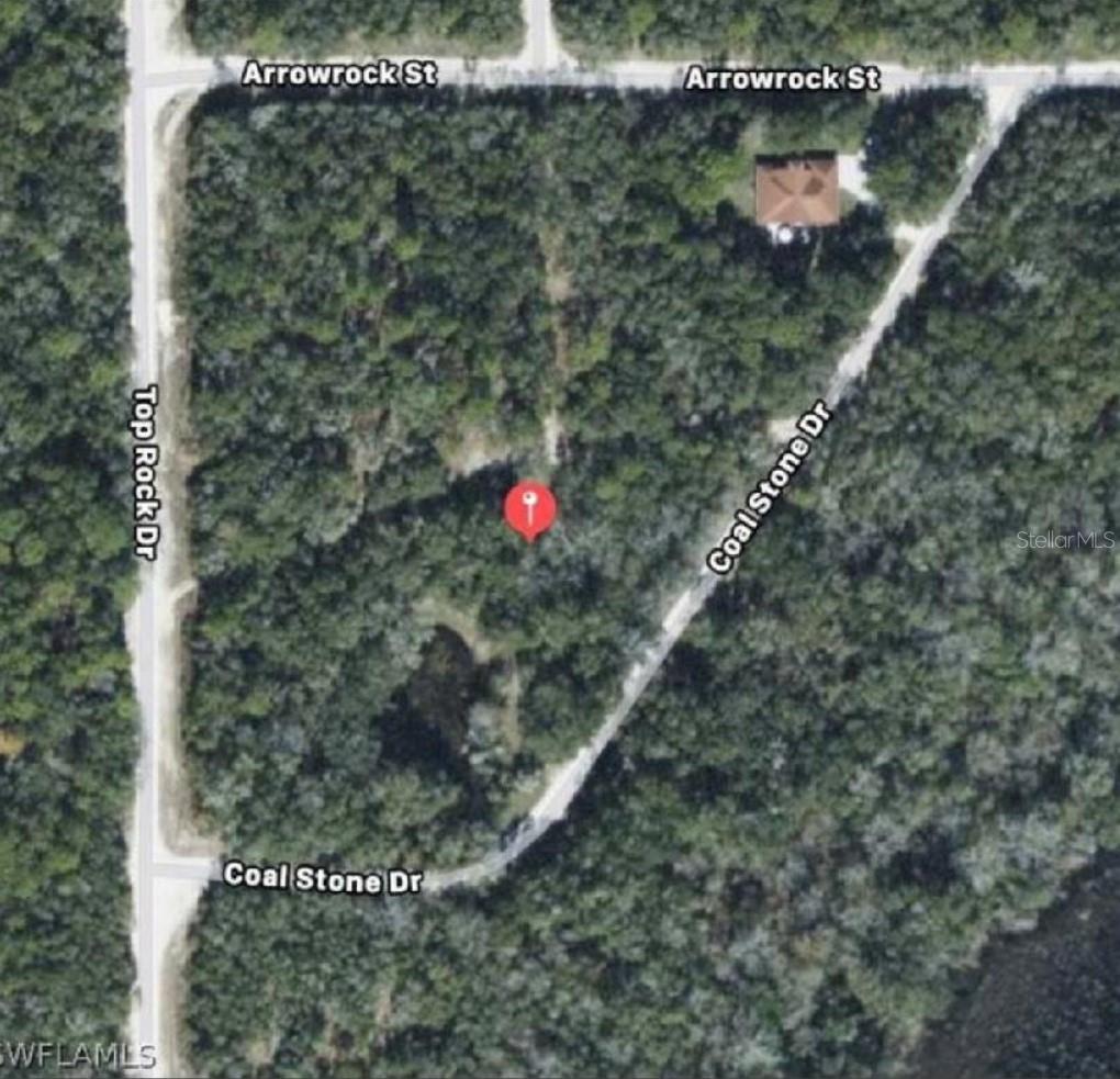 RIDGE MANOR ESTATE, WEBSTER, FL, 33597