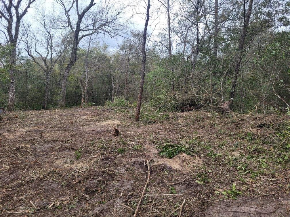 RIDGE MANOR ESTATE, WEBSTER, FL, 33597