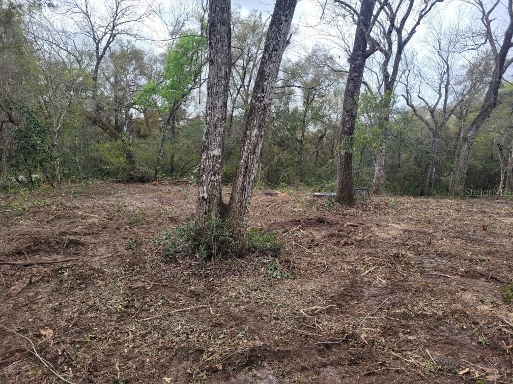 RIDGE MANOR ESTATE, WEBSTER, FL, 33597