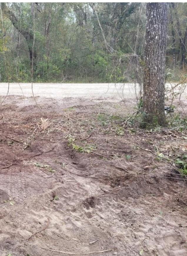 RIDGE MANOR ESTATE, WEBSTER, FL, 33597