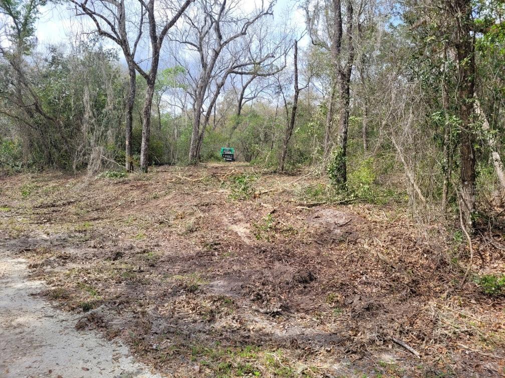 RIDGE MANOR ESTATE, WEBSTER, FL, 33597