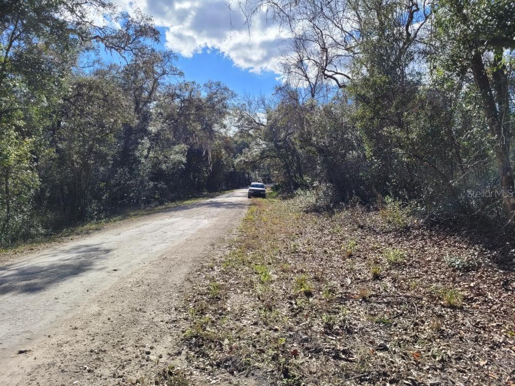 RIDGE MANOR ESTATE, WEBSTER, FL, 33597