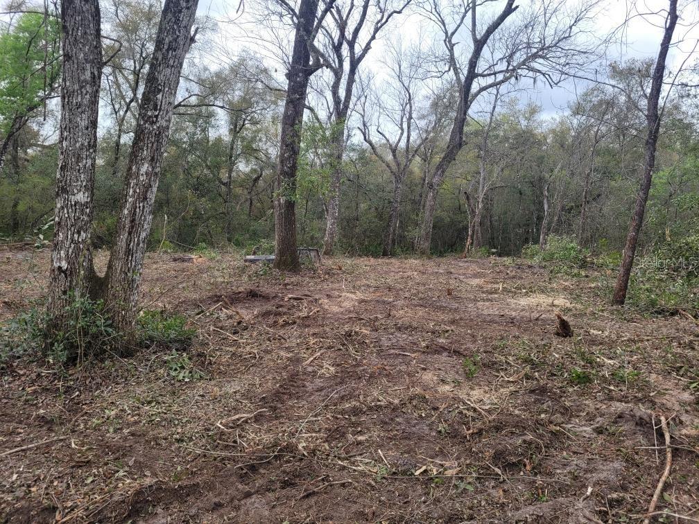 RIDGE MANOR ESTATE, WEBSTER, FL, 33597