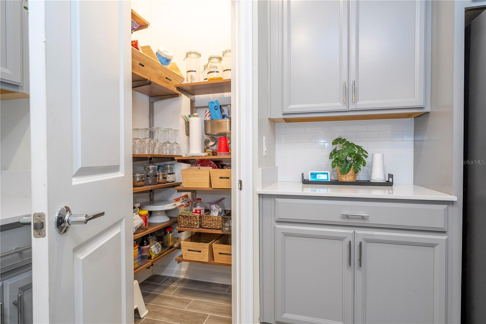 17039 QUICKSILVER AVE, WINTER GARDEN, FL, 34787