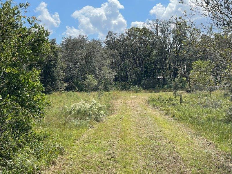 13520 SADDLEBACK TRL, SPRING HILL, FL, 34610