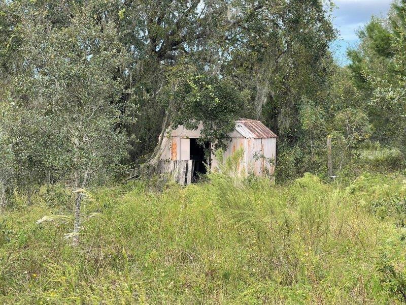 13520 SADDLEBACK TRL, SPRING HILL, FL, 34610