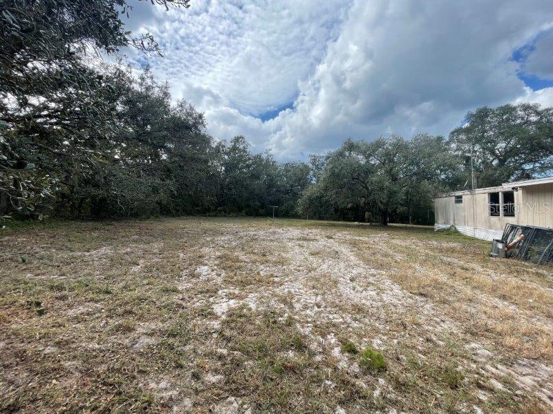 13520 SADDLEBACK TRL, SPRING HILL, FL, 34610