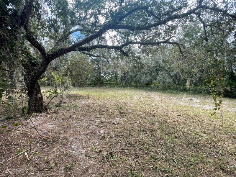 13520 SADDLEBACK TRL, SPRING HILL, FL, 34610