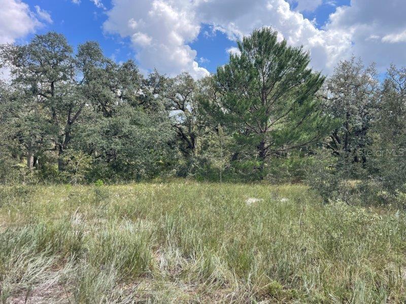 13520 SADDLEBACK TRL, SPRING HILL, FL, 34610