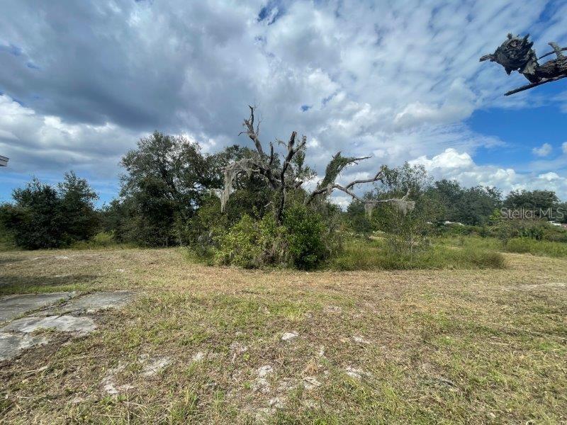 13520 SADDLEBACK TRL, SPRING HILL, FL, 34610