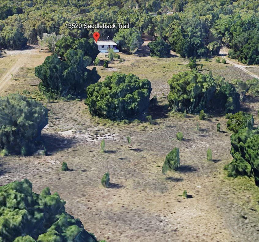 13520 SADDLEBACK TRL, SPRING HILL, FL, 34610