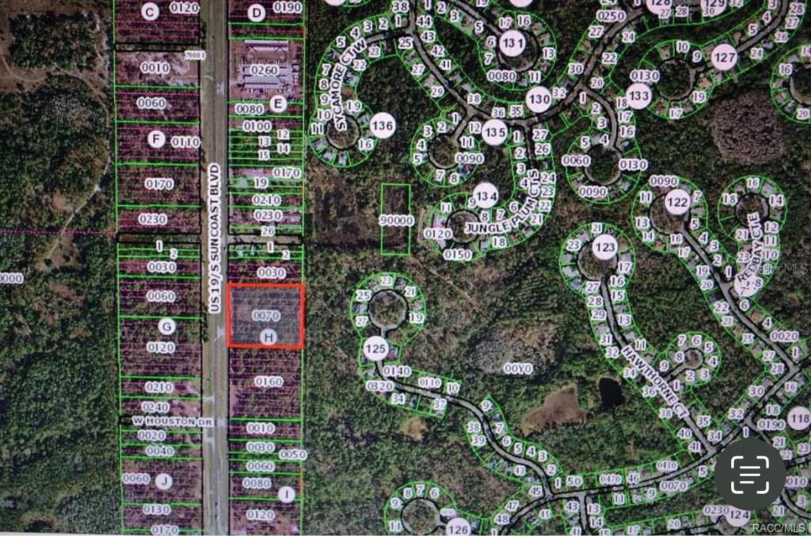 9115 S SUNCOAST BLVD, HOMOSASSA, FL, 34446