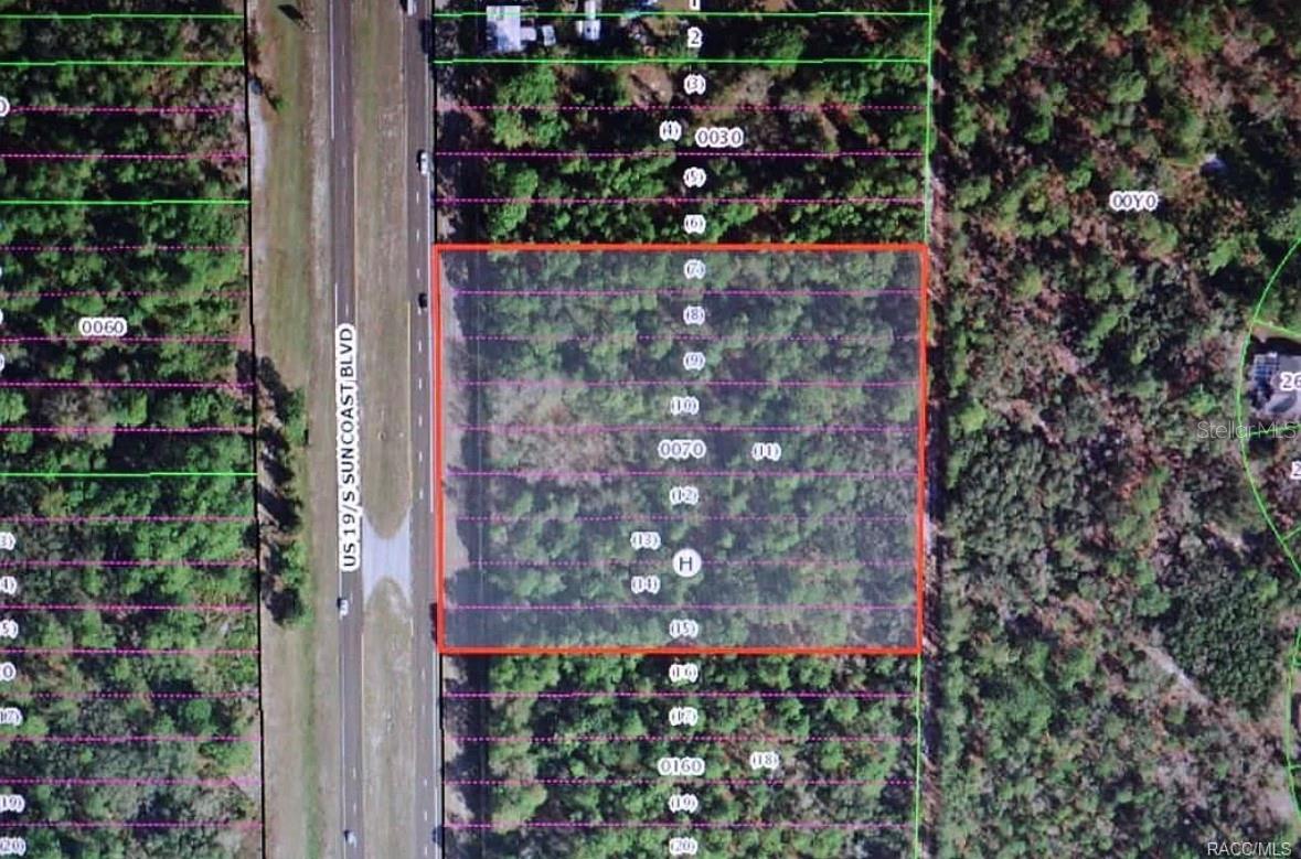 9115 S SUNCOAST BLVD, HOMOSASSA, FL, 34446