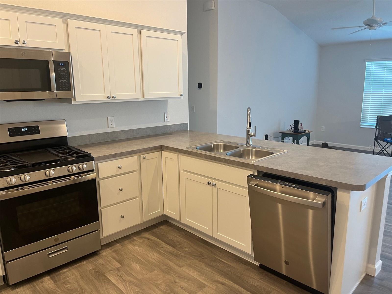 4415 CASEY CT, THE VILLAGES, FL, 32163