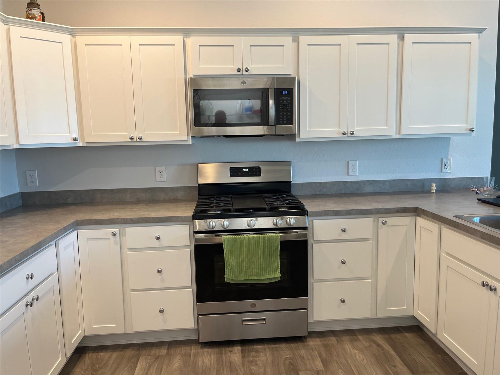 4415 CASEY CT, THE VILLAGES, FL, 32163