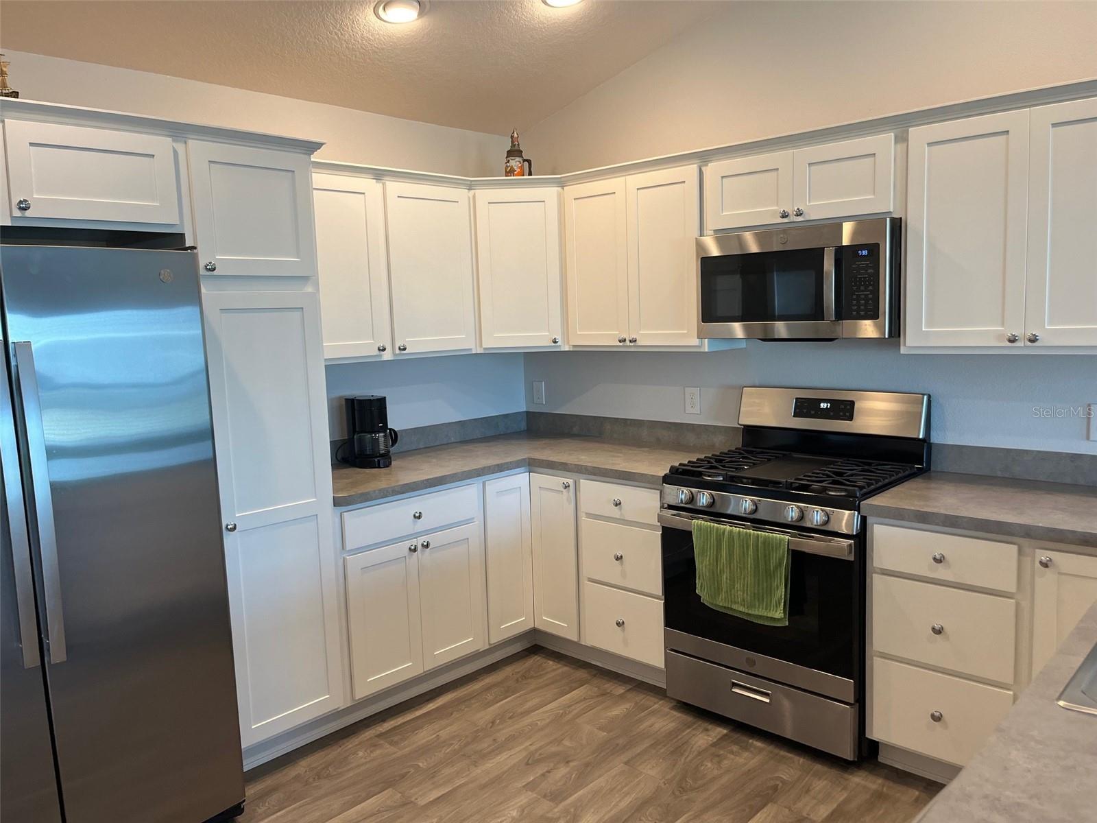 4415 CASEY CT, THE VILLAGES, FL, 32163