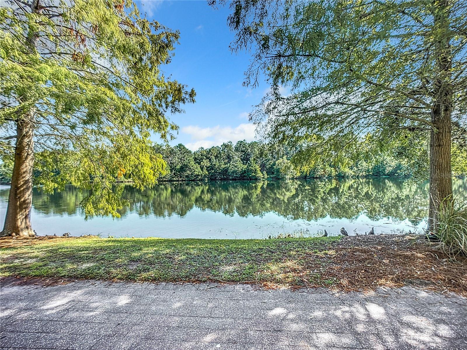 785 OAKLEAF PLANTATION PKWY #1022, ORANGE PARK, FL, 32065