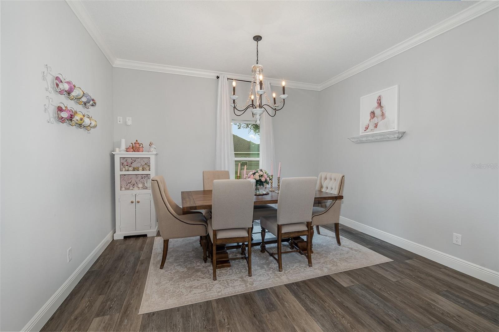 24242 CALUSA BLVD, EUSTIS, FL, 32736