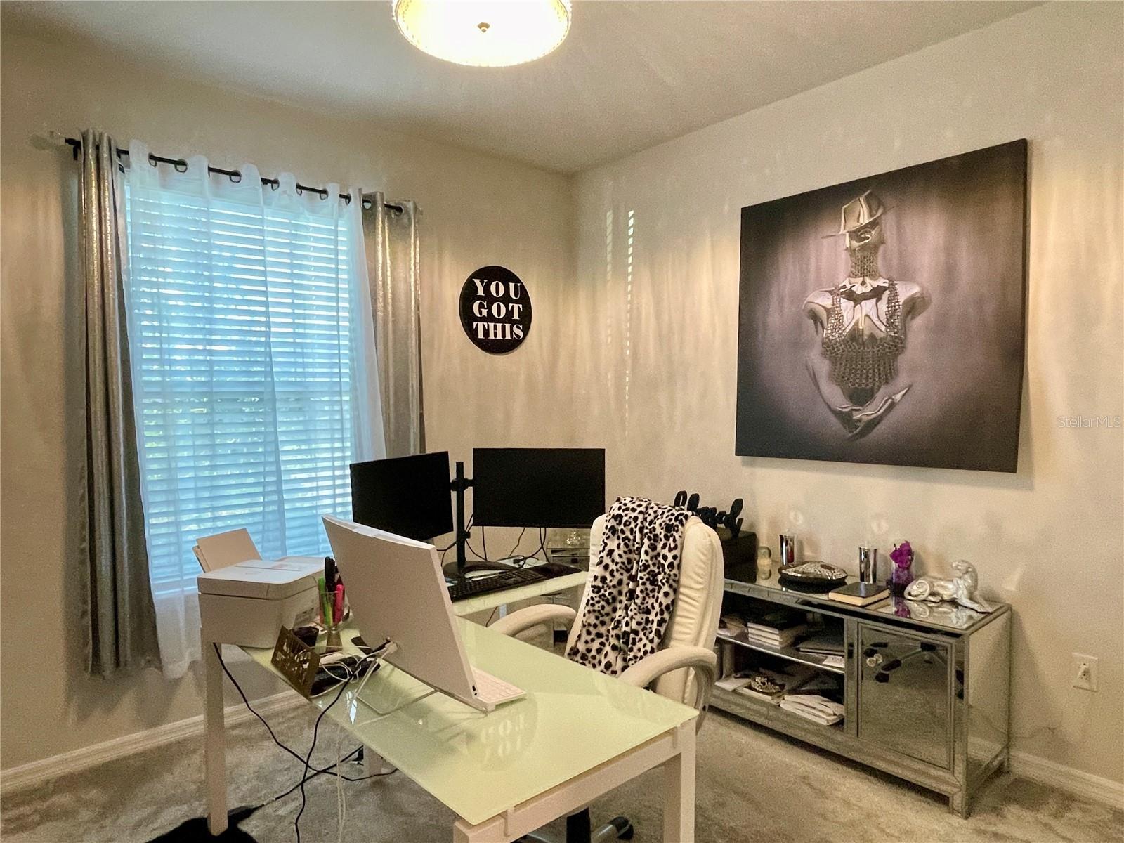 9684 IBIS GROVE BLVD, WESLEY CHAPEL, FL, 33545