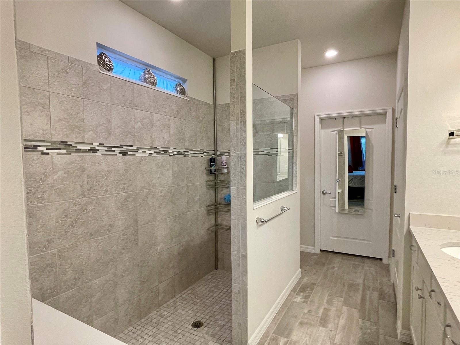 9684 IBIS GROVE BLVD, WESLEY CHAPEL, FL, 33545