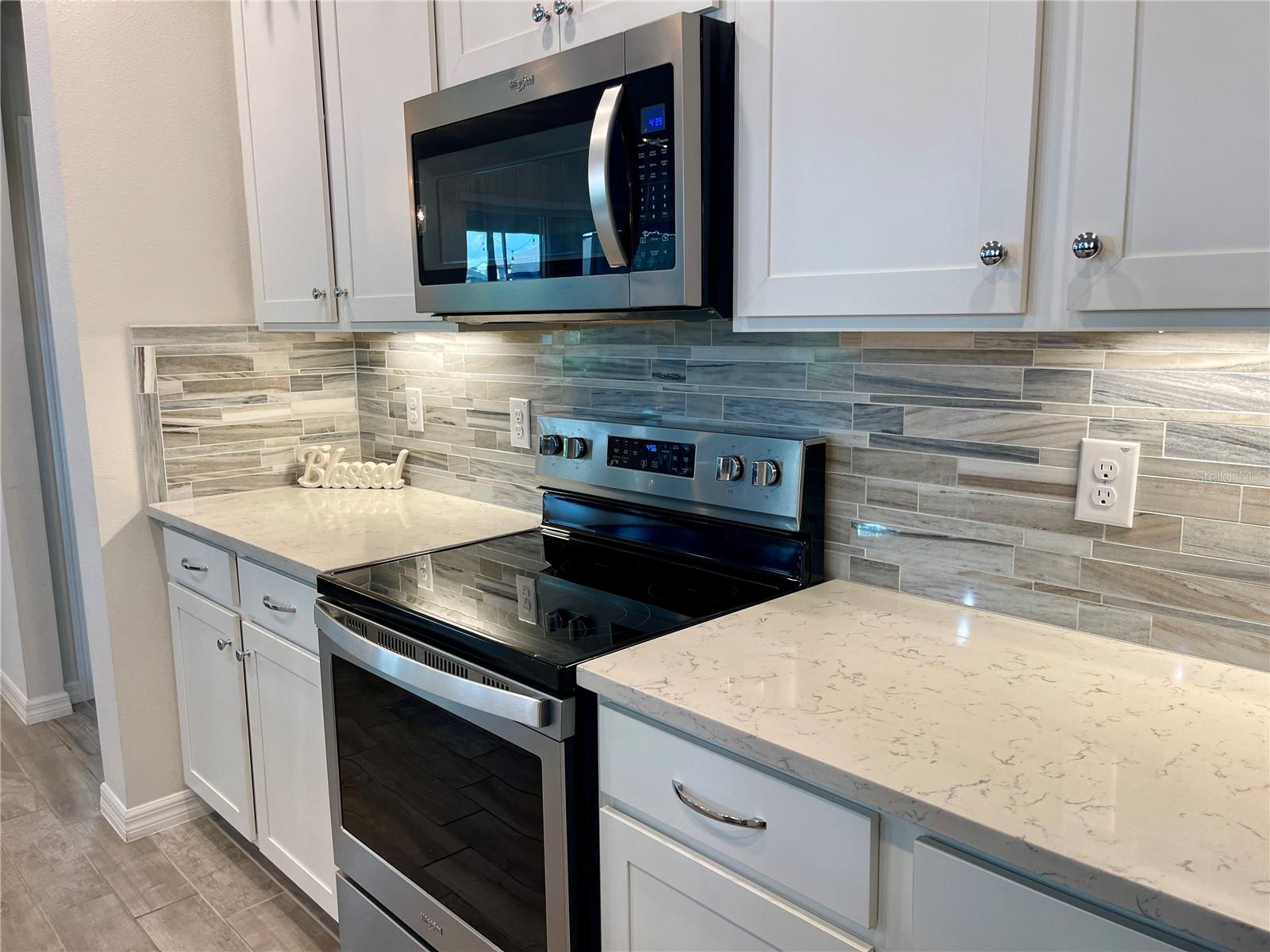 9684 IBIS GROVE BLVD, WESLEY CHAPEL, FL, 33545