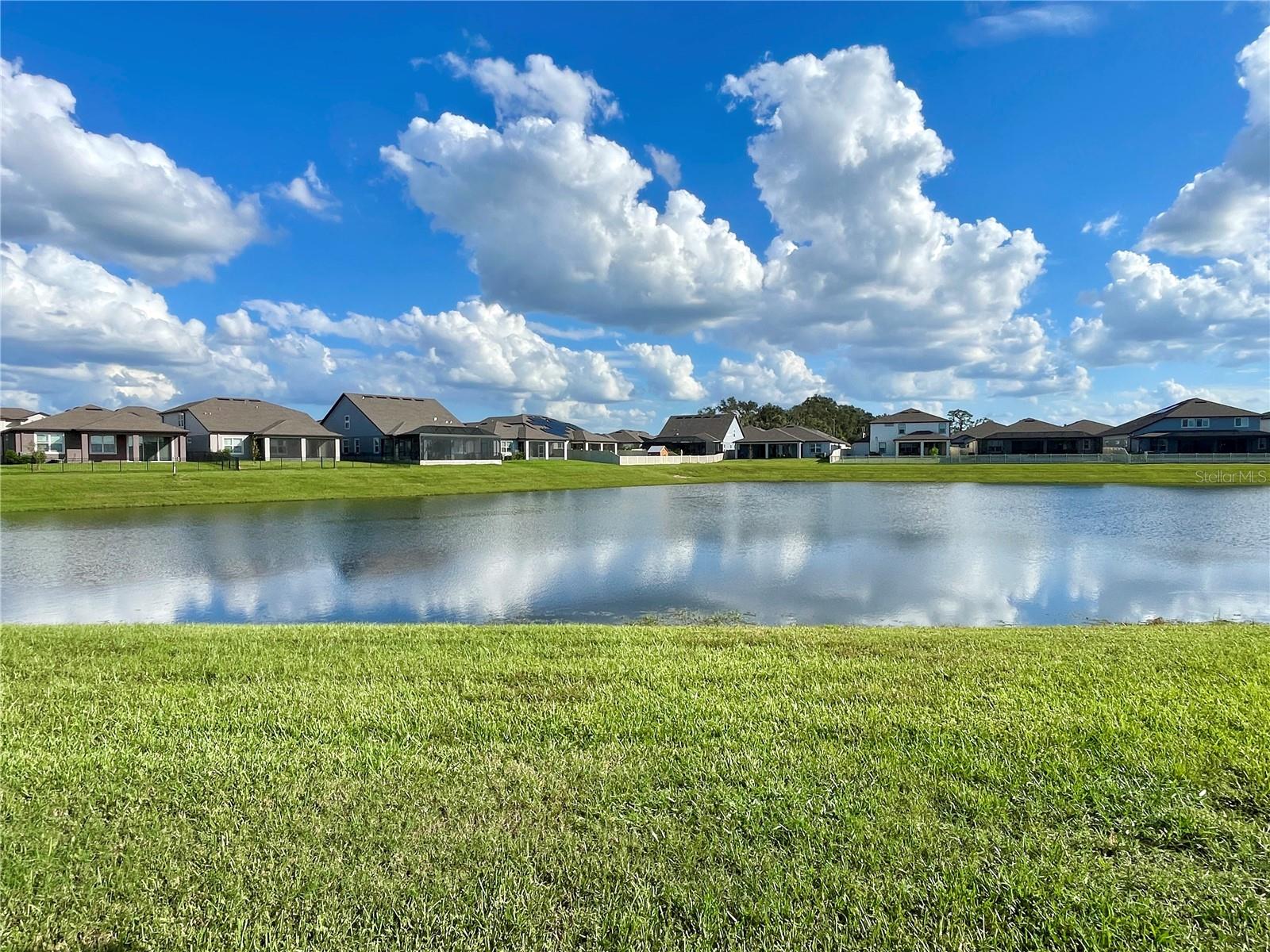 9684 IBIS GROVE BLVD, WESLEY CHAPEL, FL, 33545
