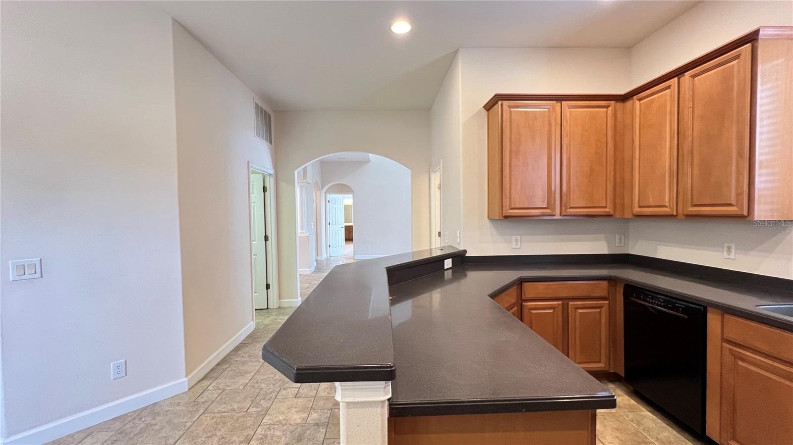 9040 PAOLOS PL, KISSIMMEE, FL, 34747