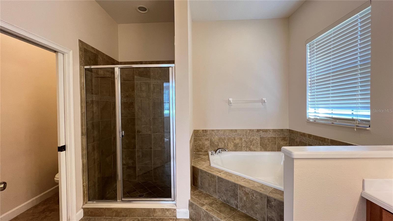 9040 PAOLOS PL, KISSIMMEE, FL, 34747