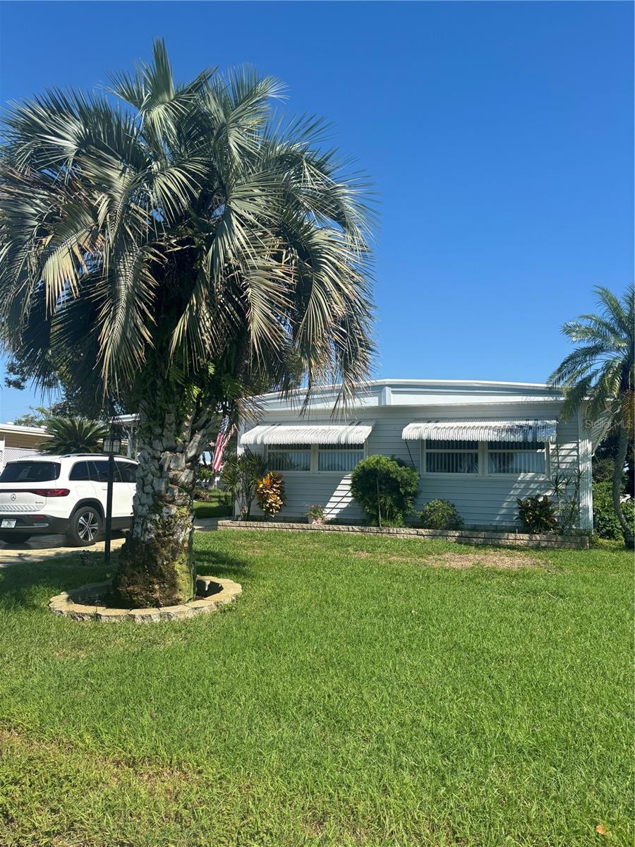 20 W CONCORD LN W #1, PALM HARBOR, FL, 34684