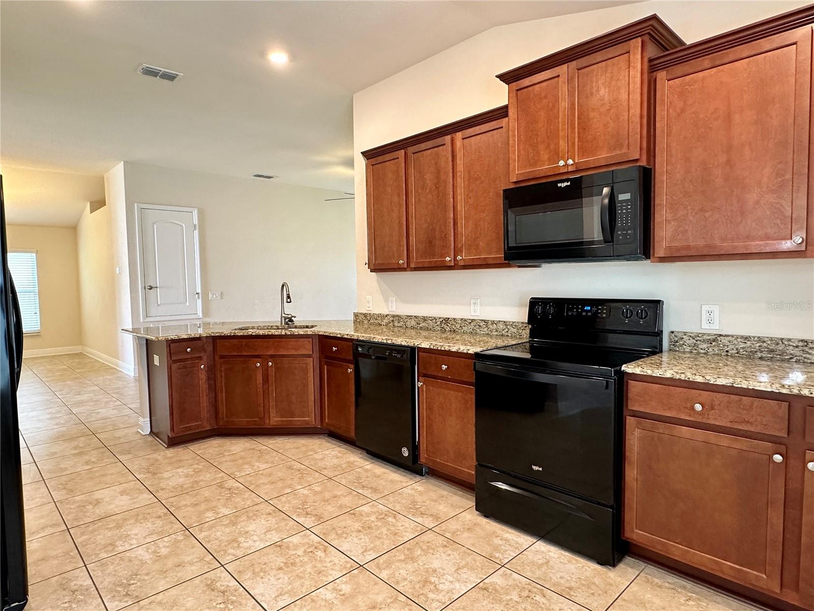 456 BUCHANNAN DR, DAVENPORT, FL, 33837