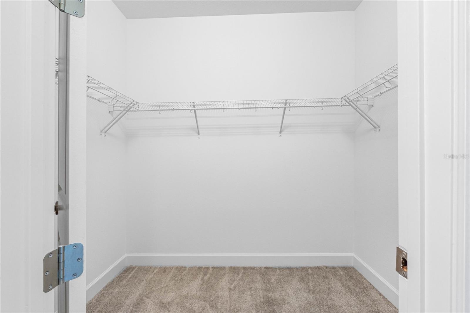 32707 TAMARIND GROVE LN, WESLEY CHAPEL, FL, 33543