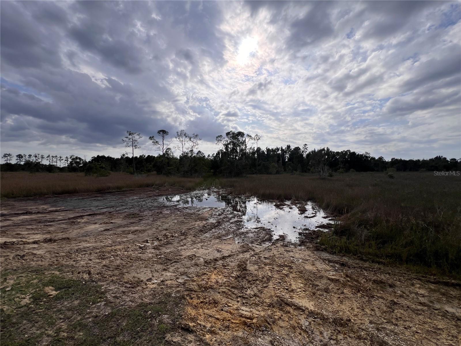 33231 OIL WELL RD, PUNTA GORDA, FL, 33955