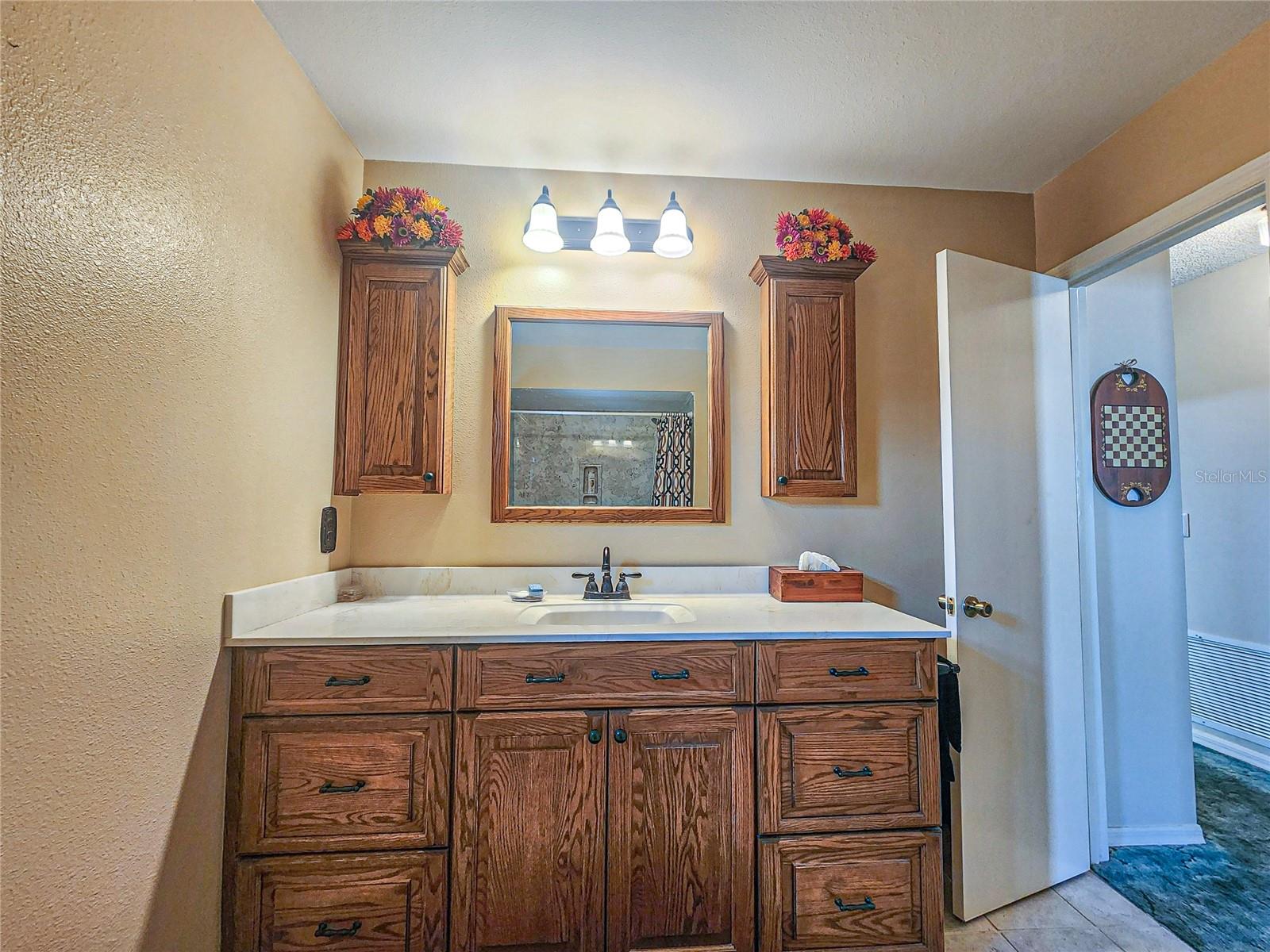 17587 SE 95TH CIR, SUMMERFIELD, FL, 34491
