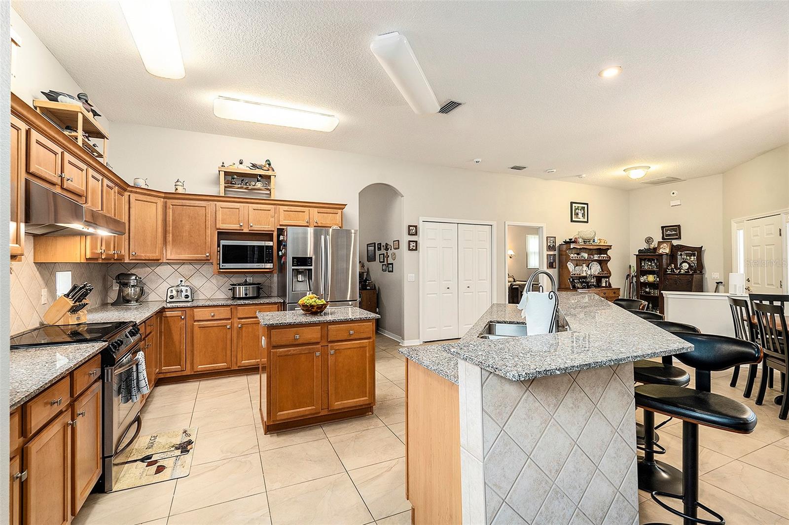 1336 ALANA CT, LUTZ, FL, 33549