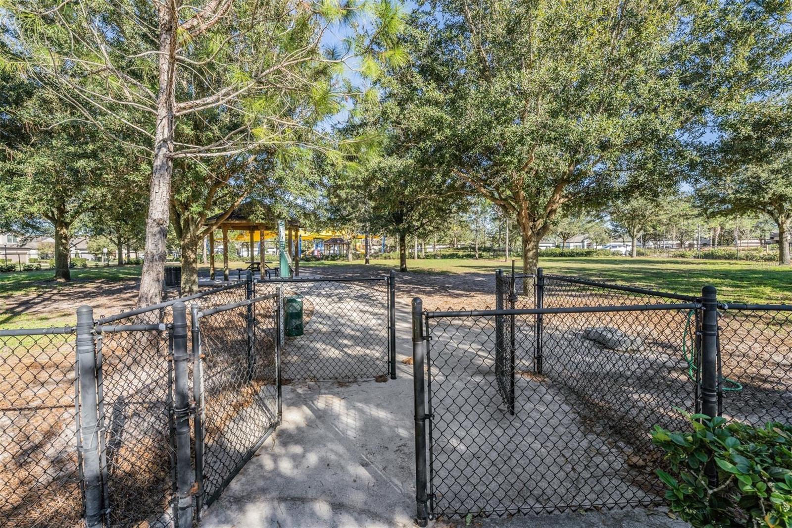 11099 FLOURISH DR, LAND O LAKES, FL, 34637