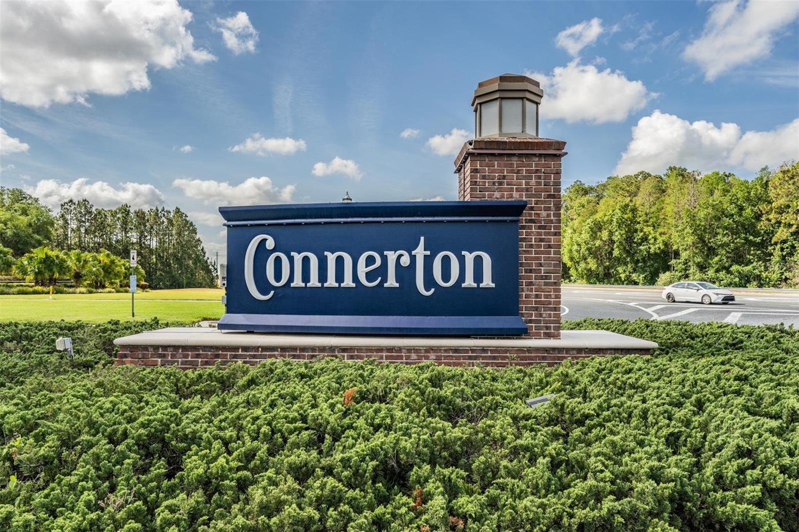 11099 FLOURISH DR, LAND O LAKES, FL, 34637