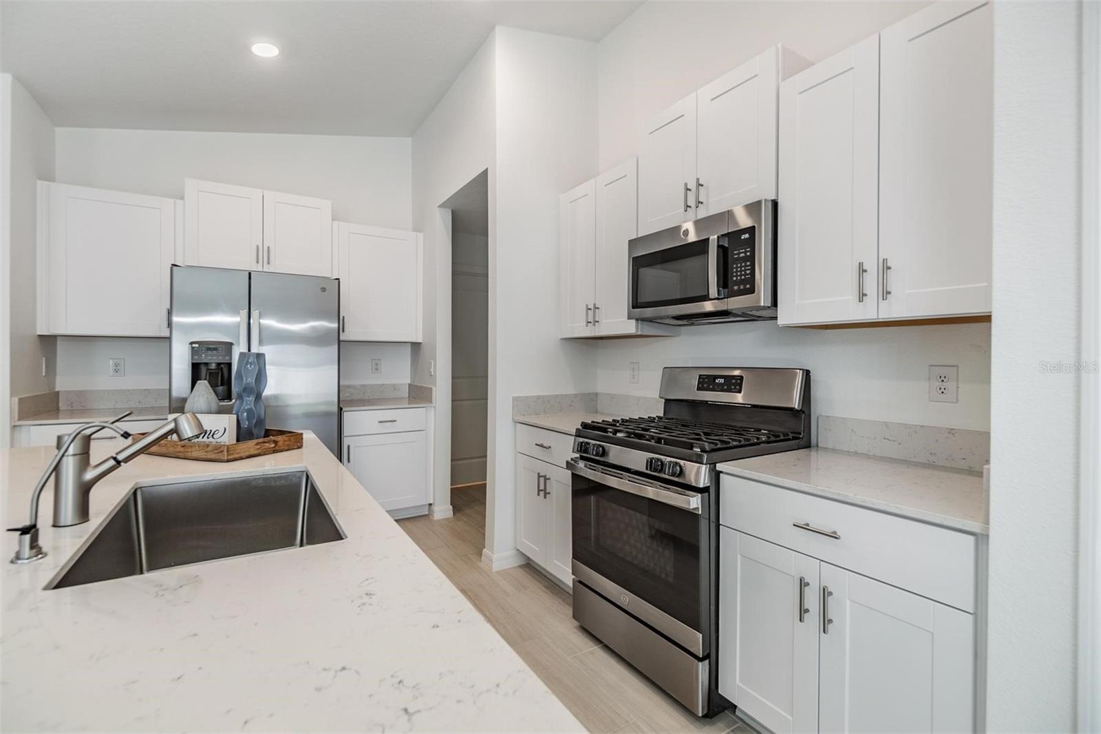 11099 FLOURISH DR, LAND O LAKES, FL, 34637