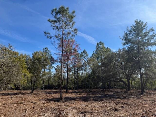11901 NE 150TH AVE RD, FORT MC COY, FL, 32134