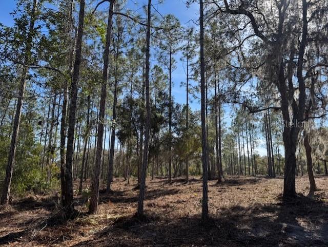 11901 NE 150TH AVE RD, FORT MC COY, FL, 32134