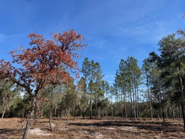 11901 NE 150TH AVE RD, FORT MC COY, FL, 32134