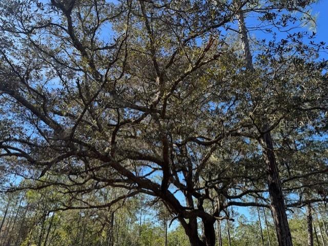11901 NE 150TH AVE RD, FORT MC COY, FL, 32134