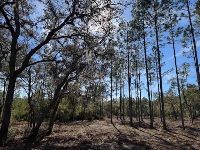 11901 NE 150TH AVE RD, FORT MC COY, FL, 32134