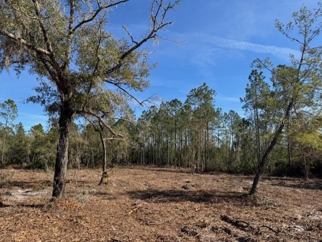 11901 NE 150TH AVE RD, FORT MC COY, FL, 32134