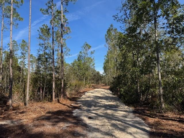 11901 NE 150TH AVE RD, FORT MC COY, FL, 32134