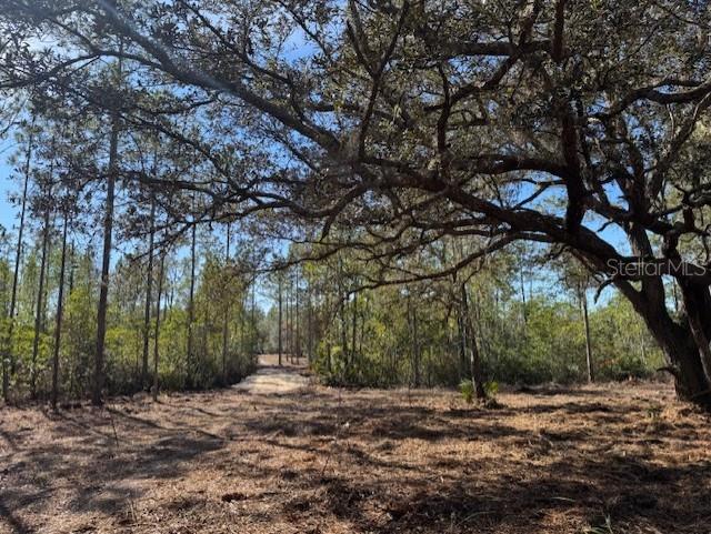 11901 NE 150TH AVE RD, FORT MC COY, FL, 32134