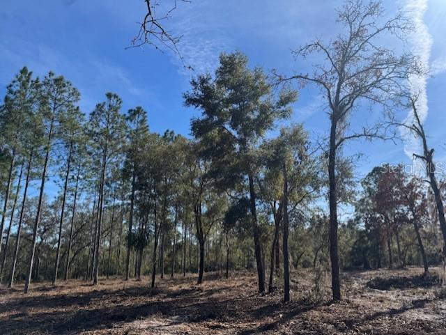 11901 NE 150TH AVE RD, FORT MC COY, FL, 32134