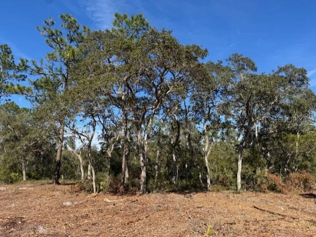 11901 NE 150TH AVE RD, FORT MC COY, FL, 32134