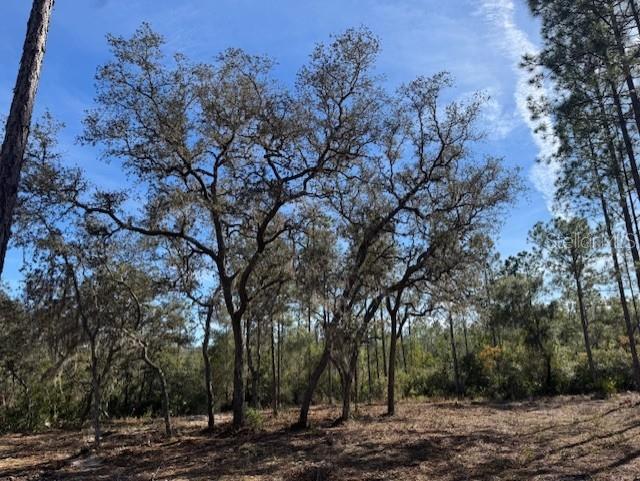 11901 NE 150TH AVE RD, FORT MC COY, FL, 32134