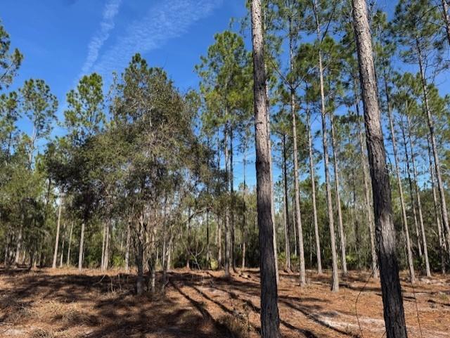 11901 NE 150TH AVE RD, FORT MC COY, FL, 32134