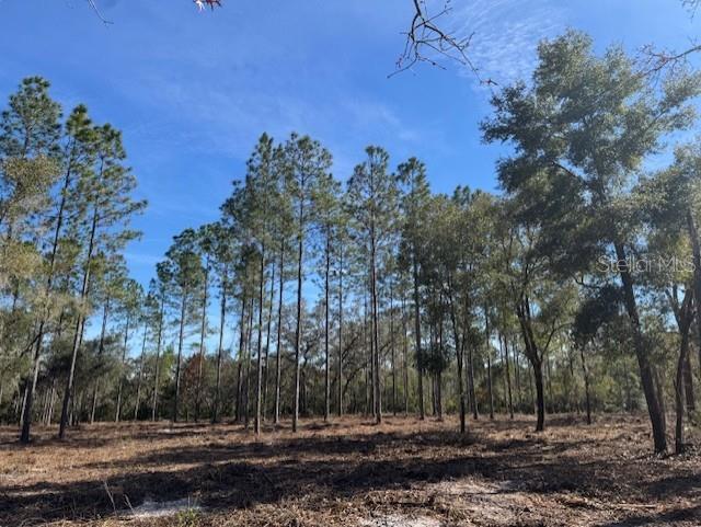 11901 NE 150TH AVE RD, FORT MC COY, FL, 32134